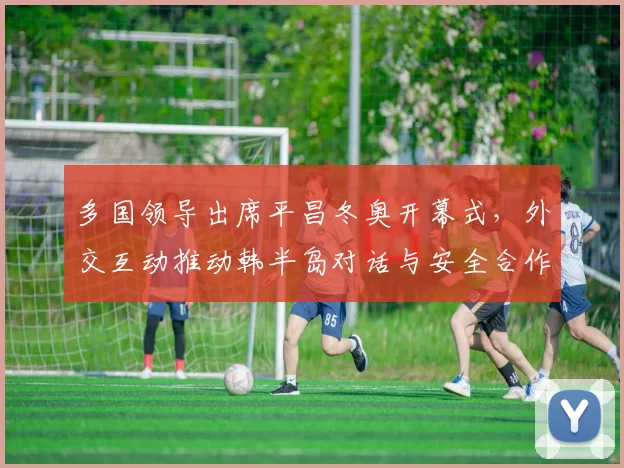 多国领导出席平昌冬奥开幕式,外交互动推动韩半岛对话与安全合作