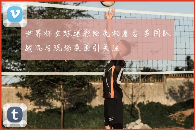 世界杯女球迷彩绘亮相看台 多国队战况与现场氛围引关注