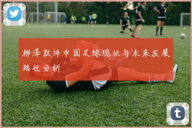柳泽敦评中国足球现状与未来发展路径分析