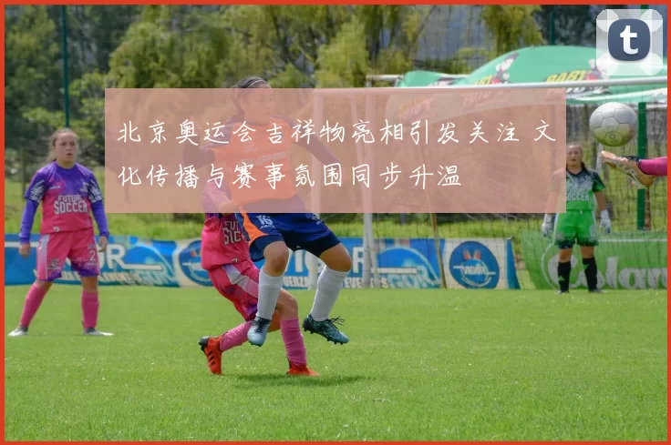 北京奥运会吉祥物亮相引发关注 文化传播与赛事氛围同步升温