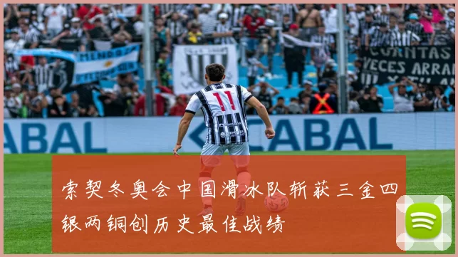 索契冬奥会中国滑冰队斩获三金四银两铜创历史最佳战绩