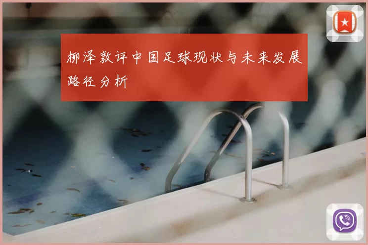 柳泽敦评中国足球现状与未来发展路径分析