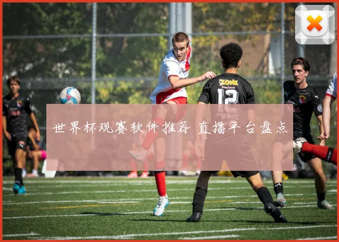 世界杯观赛软件推荐 直播平台盘点