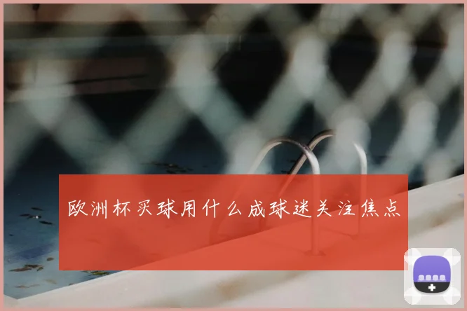 欧洲杯买球用什么成球迷关注焦点