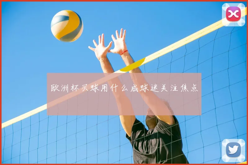 欧洲杯买球用什么成球迷关注焦点